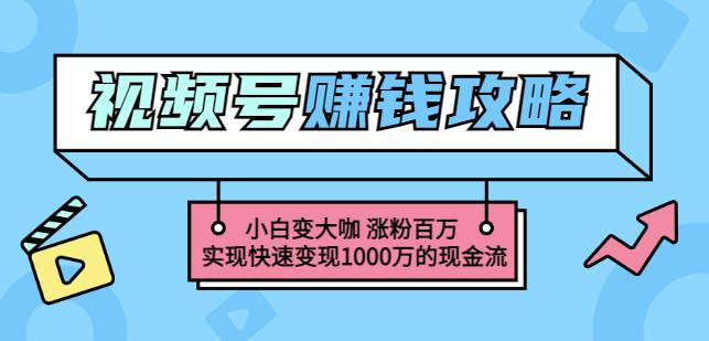 玩转微信视频号赚钱：小白变大咖涨粉百万实现快速变现1000万的现金流-启创网
