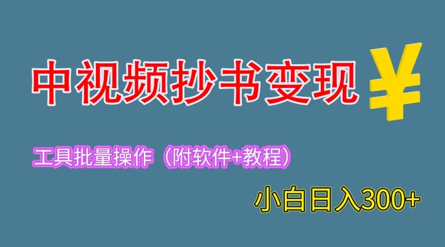 2023中视频抄书变现（附工具 教程），一天300 ，特别适合新手操作的副业-启创网