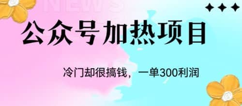 冷门公众号加热项目，一单利润300-启创网