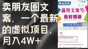 卖朋友圈文案，一个最新的虚拟项目，月入4W+（教程+素材）-启创网