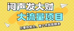 闷声发大财，大流量项目，月收益过3万，只要你努力，两个月就能翻身-启创网
