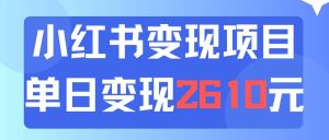 利用小红书卖资料单日引流150人当日变现2610元小白可实操（教程+资料）-启创网