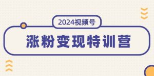 2024视频号-涨粉变现特训营：一站式打造稳定视频号涨粉变现模式（10节）-启创网