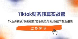 Tiktok财务核算实战营：TK业务模式/数据核算/应收款及毛利/数据下载及报表-启创网