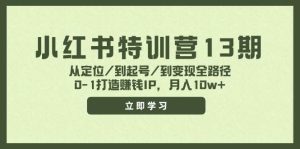 小红书特训营13期，从定位/到起号/到变现全路径，0-1打造赚钱IP，月入10w+-启创网