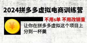 2024拼多多虚拟电商训练营 不s单 不改销量  做虚拟项目分一杯羹(更新10节)-启创网