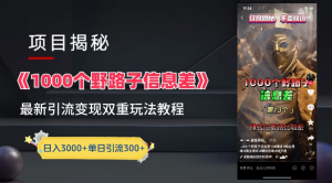 抖音一千个野路子信息差最新玩法教程-变现＋引流的玩法具体拆解-启创网