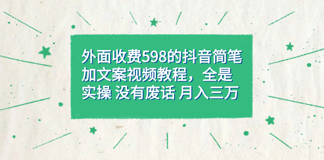 外面收费598抖音简笔加文案教程，全是实操 没有废话 月入三万（教程 资料）-启创网